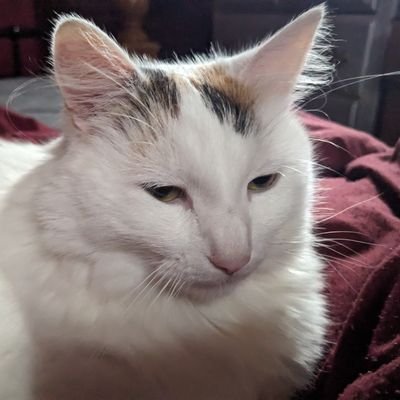 jt999173's profile picture. 