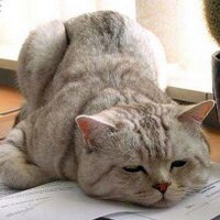 Simona Scravaglieri (@leggendolibri) 's Twitter Profile Photo