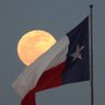 Sharshar1401234's profile picture. Texas girl loves God, family, state, country