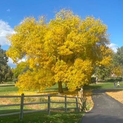 CRothDenver's profile picture. Colorado Native🌲Earth First 🌎 #hugthetrees,   Animal Rescue Advocate, #adopt   Food Purity Educator #nofactoryfarms #RescuedIsMyFavoriteBreed 🐶