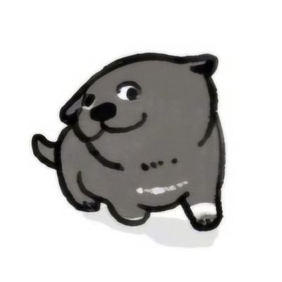 0xkisskk's profile picture. love technology