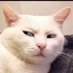 CLM Conservatives Lives Matter (@thisclownknows1) Twitter profile photo CLM Conservatives Lives Matter (@thisclownknows1) Twitter profile photo