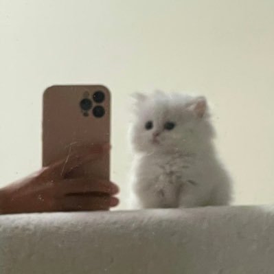 Loliaさんのプロフィール画像
