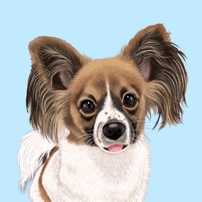 🎂2023.06.27🎂愛犬ハウスセキノから迎え入れましたパピヨンのカイです。ワンコと初めて一緒に暮らす飼い主の平凡な日常アカウントです。