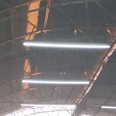 0kay_computer's profile picture. 𓇢𓆸