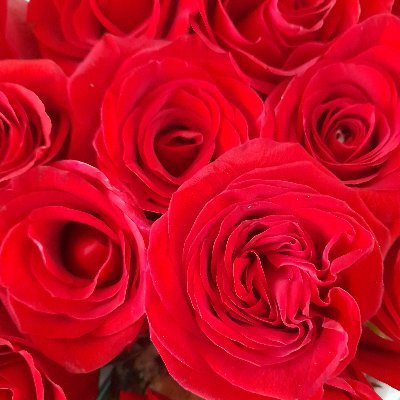 ChloeSmith1728's profile picture. Passionate teacher, proud wife, and sharp critic. Lover of education, my country, and politics. 🇺🇸 

#MAGA #USA #Geopolitics #Education