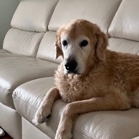 PageBoo (@pageboo) 's Twitter Profile