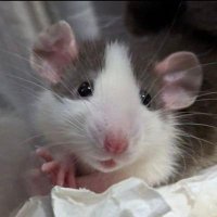 amm (@amm18556) 's Twitter Profile Photo amm (@amm18556) 's Twitter Profile Photo