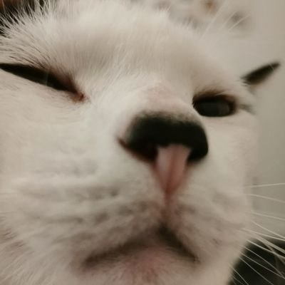 viniruh's profile picture. Brazilian 2D artist that will post eventually....
