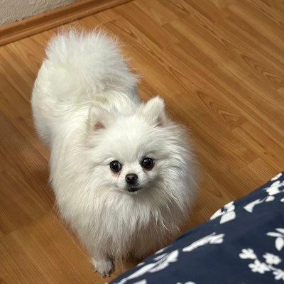 NathRoesch's profile picture. Etérea, soñadora pero consciente de la realidad de la vida, adoro el arte en todas sus expresiones, pero por sobre todas las cosas la música.