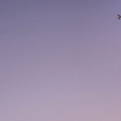 pomcure's profile picture. 