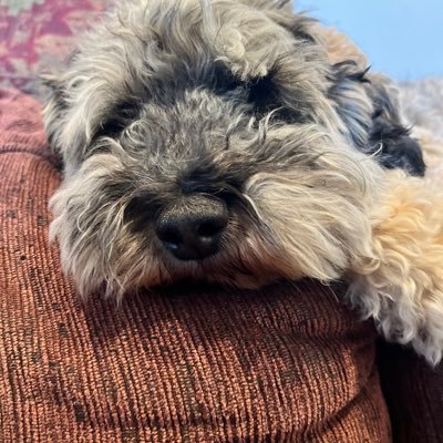 CherylSandys's profile picture. Who are all you people?