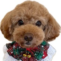 yohko (@room_number405) Twitter profile photo