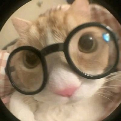 KovalykMatheus's profile picture. ⛓️