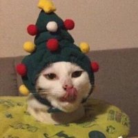 katthe (@katthee__) 's Twitter Profile