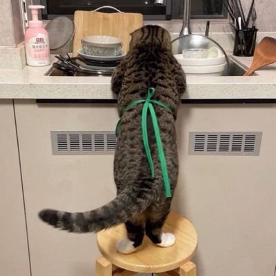 jomso985082's profile picture. 맛탱이간 곰 계정
노쉬발 킾고잉
뉴질 도착!