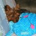Judy Tarasek (@pospetpartners) Twitter profile photo Judy Tarasek (@pospetpartners) Twitter profile photo