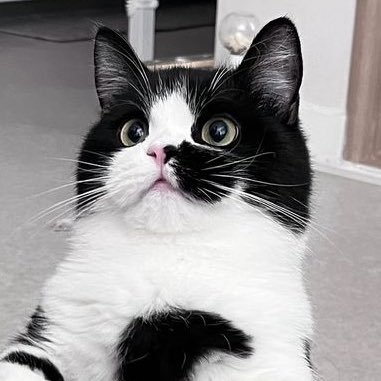 98girlbelike's profile picture. ดอกไม้กำลังเบ่งบานในใจ 🌷🌹🪻🌸🌼🌻