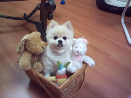 CathyAndrade78's profile picture. 