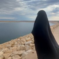زینب کیا (@avayemah) 's Twitter Profile Photo