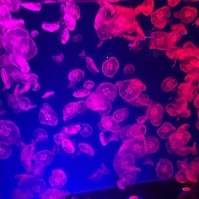 Froad34's profile picture. FX歴3年！自由気ままに暮らしてます✌️
お金の余裕は心の余裕😊