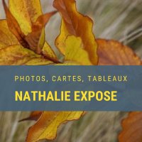 Nathalie Waridel (@nwaridel) 's Twitter Profile