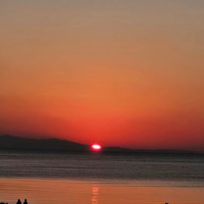 ys_2896283's profile picture. 猫息子❤ｳﾞｫﾙﾃｨｽ⚽･徳島IS⚾
ゆりり❤スタジオFUN❤やましろAKB❤
板東道生❤がリアルの推し🍀
その他ヒノマルプロジェクトetc.色々好きです💕
ｲﾍﾞﾝﾄ･LIVE等にも積極的に参加してますが…💦
私、人見知りです…w
基本自分から話しかけること出来ません💦
話しかけられると意外と話せますw