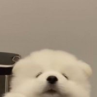 ツ (@defern_) 's Twitter Profile