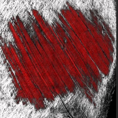 campelj_dean's profile picture. 