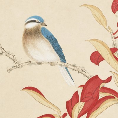 sunbirdguy's profile picture. Brothers, it is later than you think.