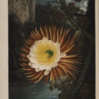 Baptistine (@emmallado) 's Twitter Profile Photo