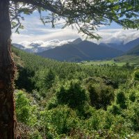 Shiretoko 🌲🏔️ 🌫️ (@gunnmagnus) 's Twitter Profile