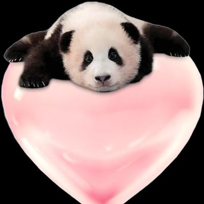 bbushu_0312's profile picture. 💙💜💗❤️🖤✨️🤍 
팀플레이브 뽀에버☆☆행☆덕☆☆
 ㅌㅇㅌ 잘몰러유.. 
팀플레이브의 모든앞날을 응원합니다!