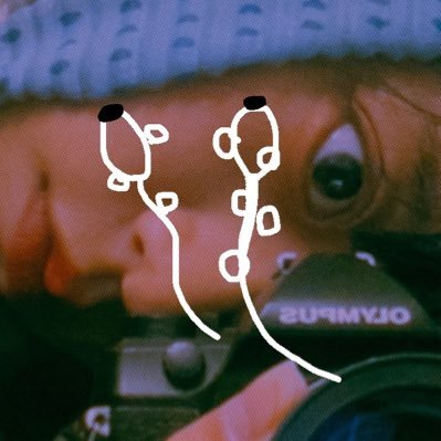 散歩が趣味な作家の写真アカウント。 主に森のちいさな世界の写真を🌳きのこ🍄粘菌🦠メインアカウントはこちら @momo_hysk