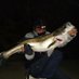 Fishing Ghost (@namazufishing) Twitter profile photo Fishing Ghost (@namazufishing) Twitter profile photo