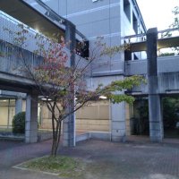 大阪教育大学教育協働学科 (@kyoikukyodo) 's Twitter Profile