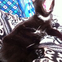 marco basiletti (@basi_spazio) 's Twitter Profile