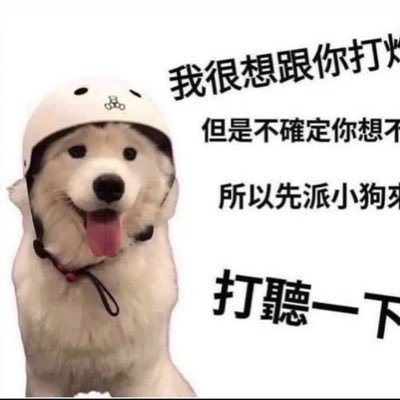 chnbnwi4's profile picture. 你好 簡單自我介紹 區域：#台北/高雄/宜蘭 #166/63/15 #有健身/常運動 #無抽菸/無檳榔/無刺青/可小酌 #工務員 #九價/健檢 #慢熟/INTJ #相互尊重/不浪費彼此時間 /如有榮幸歡迎私聊