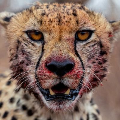 GeneMt2's profile picture. 