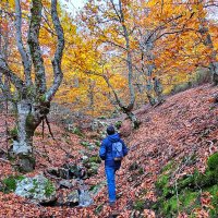 Alberto HERRERO (@1albertoherrero) 's Twitter Profile