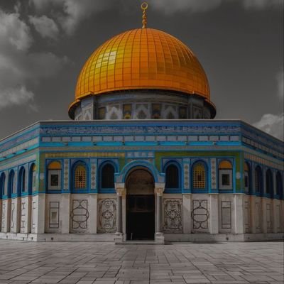 ModuMahmoud's profile picture. Get paid to watch videos, check link in bio!