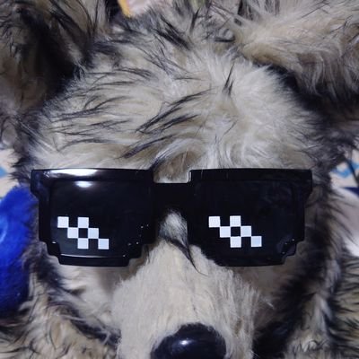 フラックさんのプロフィール画像