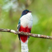 🕊️🦆🦅🦉🦉🐓🦃🦚🦜🦢 (@yxfl2965446) 's Twitter Profile Photo 🕊️🦆🦅🦉🦉🐓🦃🦚🦜🦢 (@yxfl2965446) 's Twitter Profile Photo