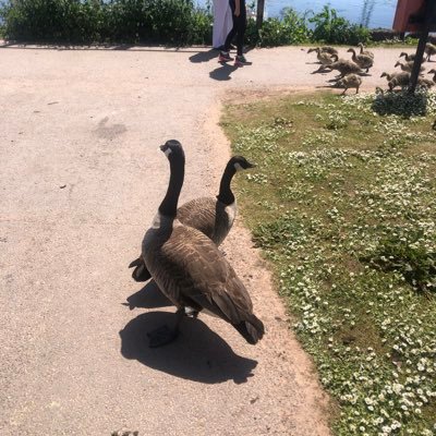 Tino233807322's profile picture. 