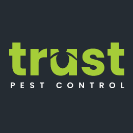 Trust Pest Control Sydney offers reliable and eco-friendly pest control solutions for homes and businesses. From termites to rodents, they handle it all.