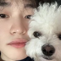 meiko 🫧 (@825gos) 's Twitter Profile Photo meiko 🫧 (@825gos) 's Twitter Profile Photo