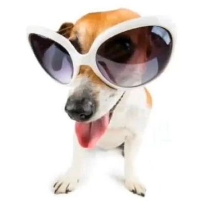 aIaterdate's profile picture. im lex 🝐 aries ▪︎ blood type A+ ▪︎ subaru owner ▪︎ owl fursona ▪︎ instagram influencer ▪︎ joy division shirt wielder ▪︎ witch of breath ▪︎ etc