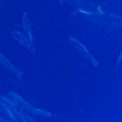 fm7_j0f's profile picture. 相互フォローのみ‼︎ 基本顔見知り認証します！お声がけください