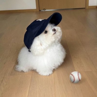 Kwankhongwr's profile picture. ซีรีส์เกย์ นิยายเกย์ จะเยียวยาทุกสิ่ง 🌻