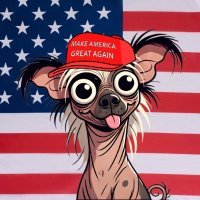MortCoin on Base (@mort_coin) 's Twitter Profile